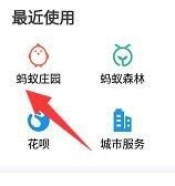 《支付宝》6月25日蚂蚁庄园答案（2）