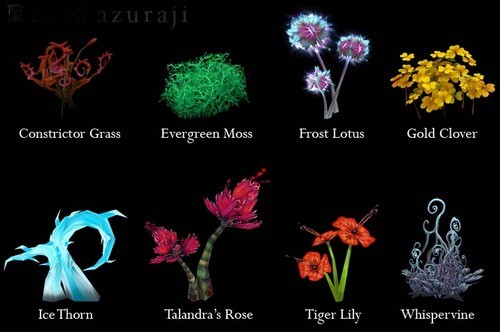 草药学攻略-草药学攻略及地图