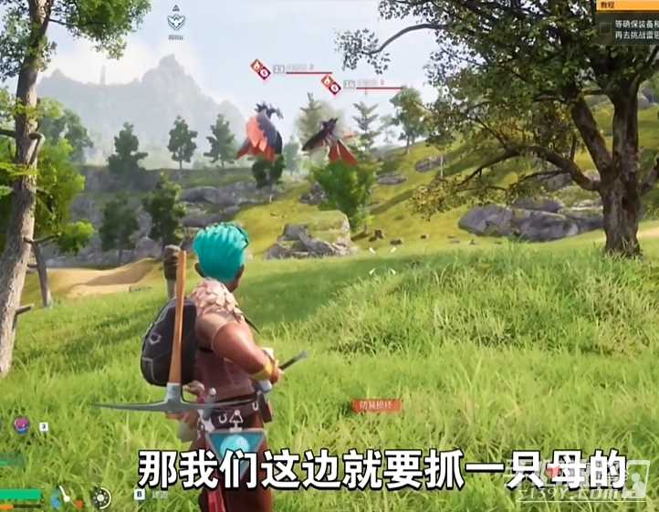 《幻兽帕鲁》阿努比斯获得方法