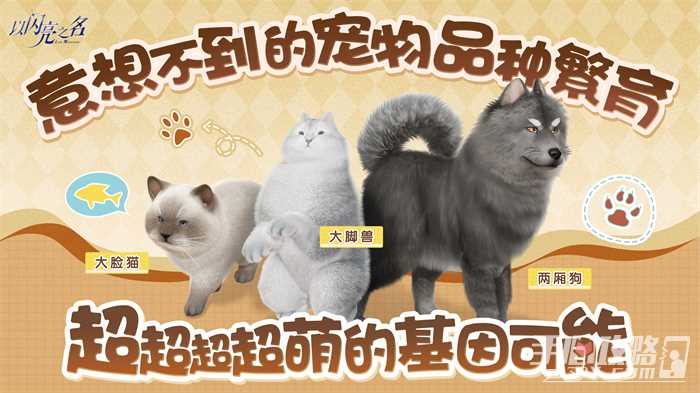 图11.jpg