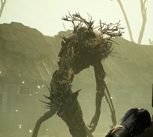 迷瘴纪事中文版