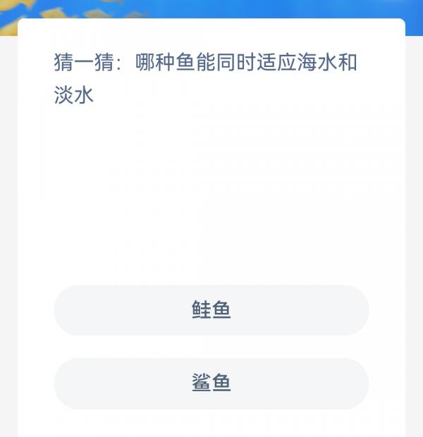 哪种鱼能同时适应海水和淡水