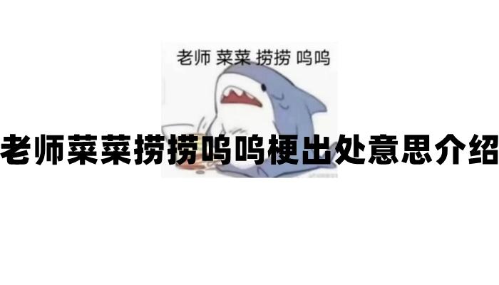 《抖音》老师菜菜捞捞呜呜梗出处意思介绍