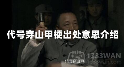 代号穿山甲梗出处意思介绍
