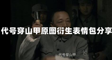 代号穿山甲原图衍生表情包分享