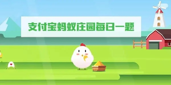 想带宠物猫一起乘火车出行,较为安全稳妥的方法是