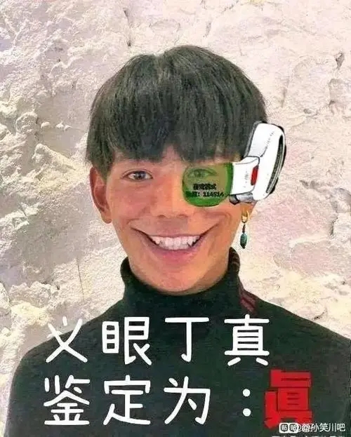 一眼丁真鉴定为假梗出处意思介绍