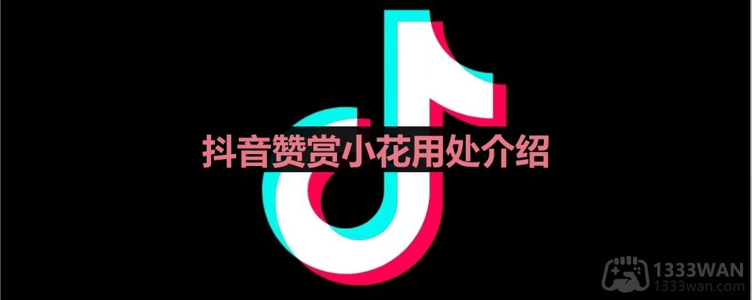 《抖音》赞赏小花用处介绍