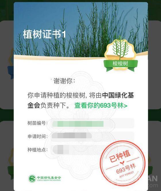 《支付宝》蚂蚁森林能量作用一览