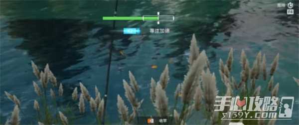 星球重启养鱼方法介绍