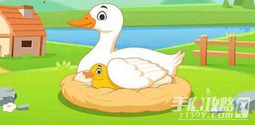 我要养鸭玩法心得