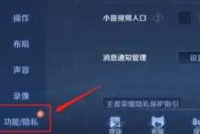 《王者荣耀》V10皮肤共享有限制吗