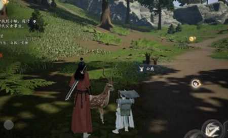 《射雕手游》小动物位置一览