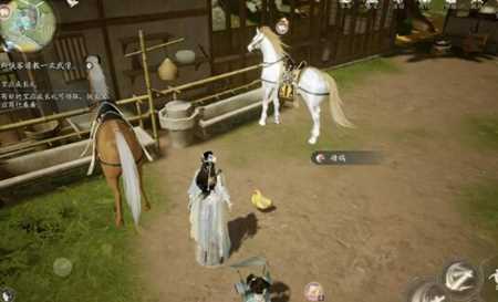 《射雕手游》小动物位置一览