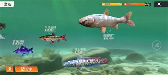 《欢乐钓鱼大师》玩法心得分享