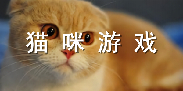 猫咪游戏合集 猫咪游戏合集